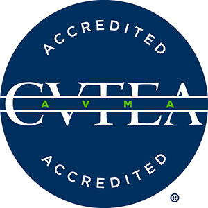 accreditation organization logo
