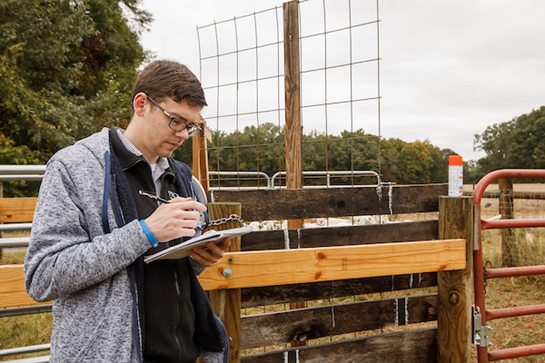 Image 10122019_AgClassSheepExams036.jpg